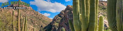 A scenic view in Tucson, Arizona.