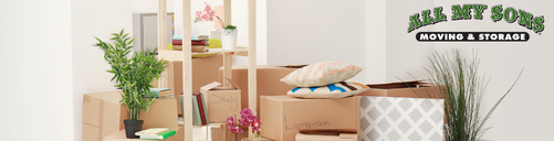 Phoenix residential movers