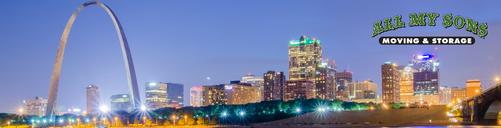 st. louis arch and skyline lit up at night