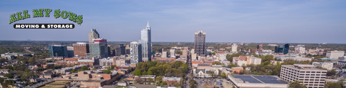 entire raleigh skyline during daytime