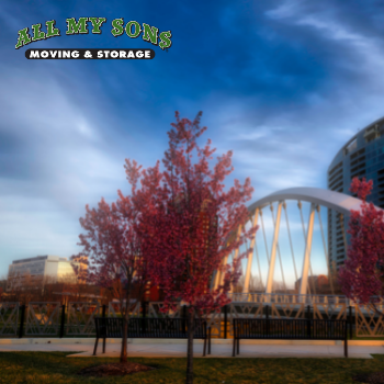 a beautiful tree in front of a gaudy columbus bridge