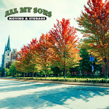 a line of trees changing colors in the fall along a city street in milwaukee, wisconsin