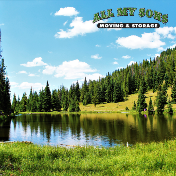 green pine trees surrounding a lake near broomfield, co